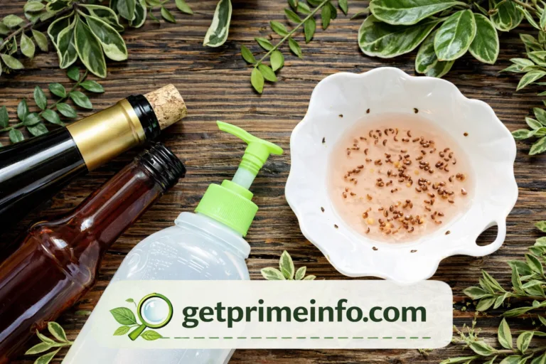 How to Get Rid of Gnats: Best Guide for Home & Plants